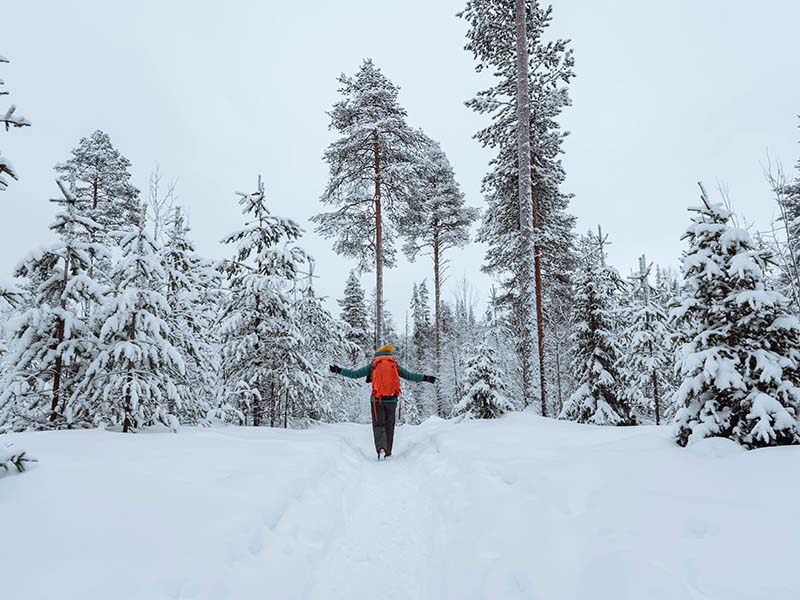 תיירת לבושה במעיל אדום מוקפת ביער מושלג בלפלנד